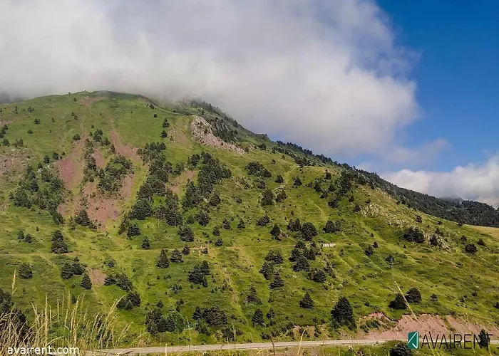 La Moleta Avairent Estacion